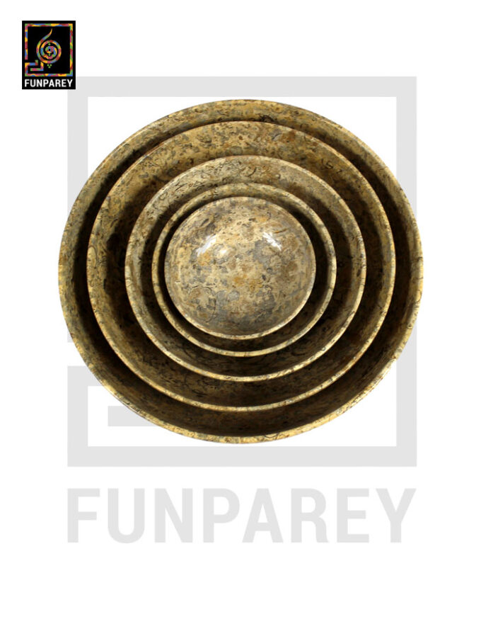 Coral Stone Bowl Set 7 Pieces with Embedded Fossil