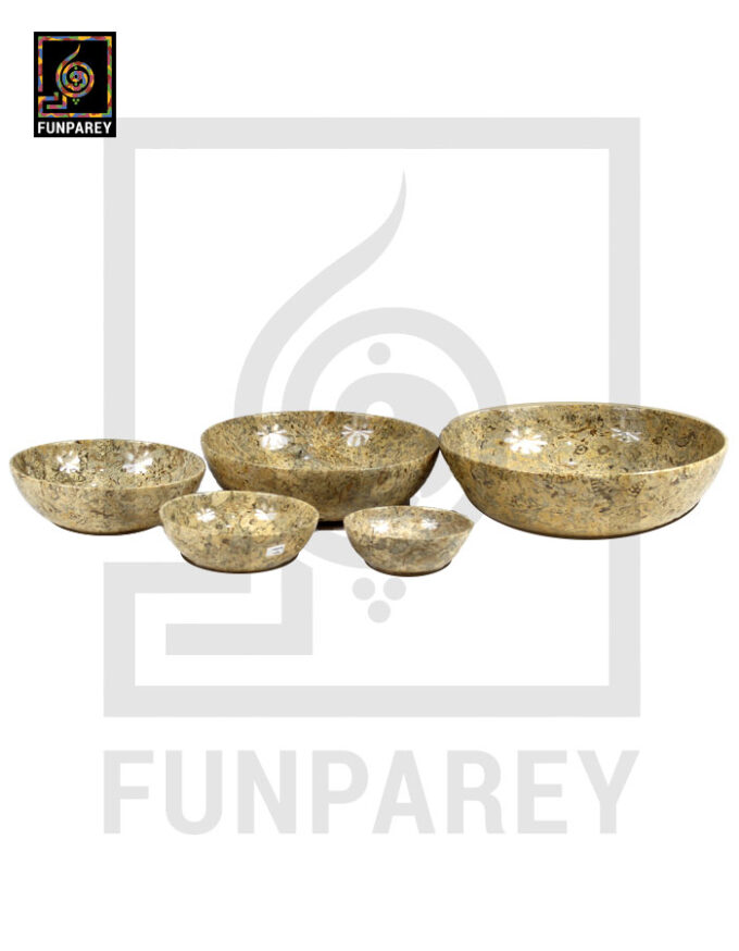 Coral Stone Bowl Set 7 Pieces with Embedded Fossil - Image 3
