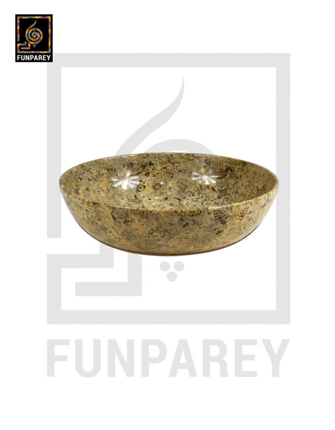 Coral Stone Bowl Set 7 Pieces with Embedded Fossil - Image 4